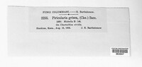 Pyricularia grisea image